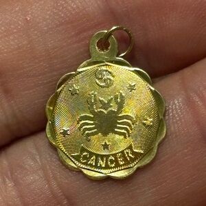 14K Solid Gold Diamond Cut Cancer Zodiac Charm ✨